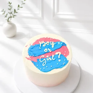 Boy or Girl Cake | Midi Gender Reveal Cake | 01