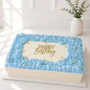 Rectangle Cake | Blue Cake 01