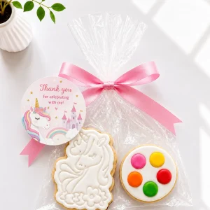 DIY Unicorn Cookie Kit | Paint Your Own Cookie 01