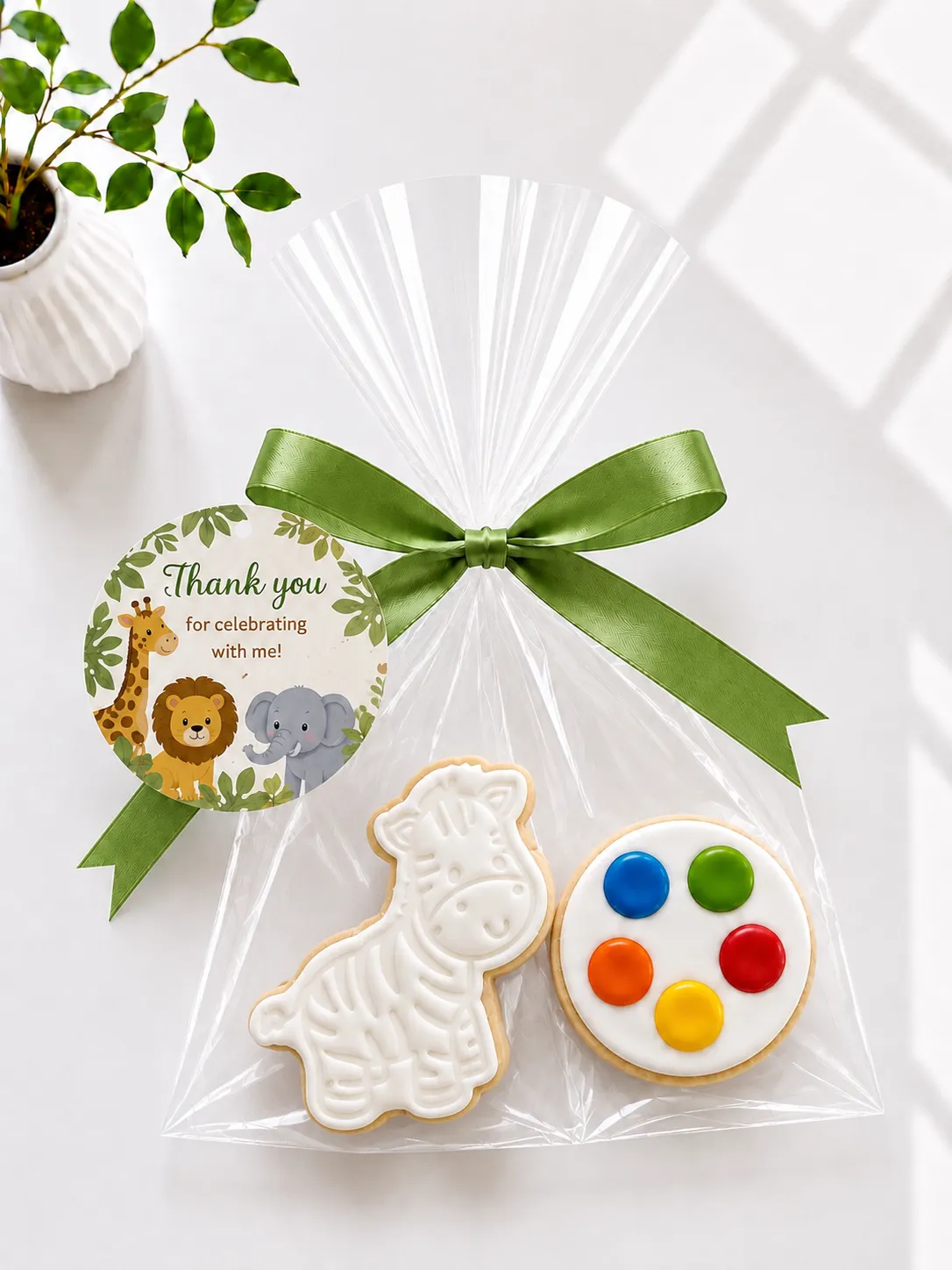 DIY Safari Animals Cookie Kit | Paint Your Own Cookie | 01
