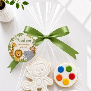 DIY Safari Animals Cookie Kit | Paint Your Own Cookie | 02