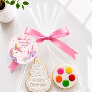 DIY Unicorn Cookie Kit | Paint Your Own Cookie 02