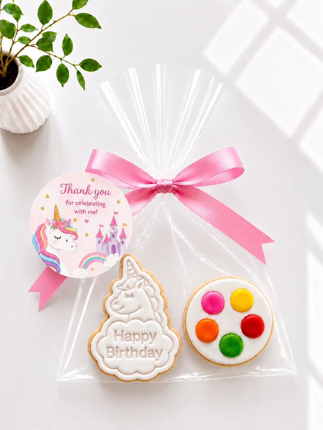 DIY Unicorn Cookie Kit | Paint Your Own Cookie 02