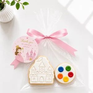 DIY Princess Cookie Kit | Paint Your Own Cookie | 01