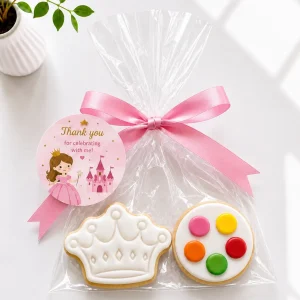 DIY Princess Cookie Kit | Paint Your Own Cookie | 02