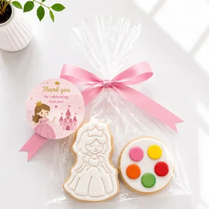 DIY Princess Cookie Kit | Paint Your Own Cookie | 03