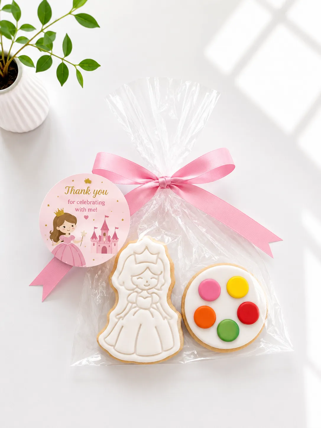 DIY Princess Cookie Kit | Paint Your Own Cookie | 03