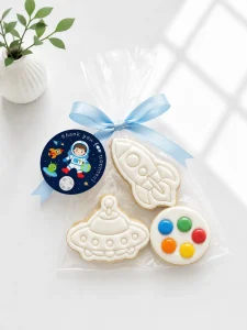 DIY Galaxy Astronaut Cookie Kit | Paint Your Own Cookie | 01