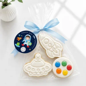 DIY Galaxy Astronaut Cookie Kit | Paint Your Own Cookie | 01