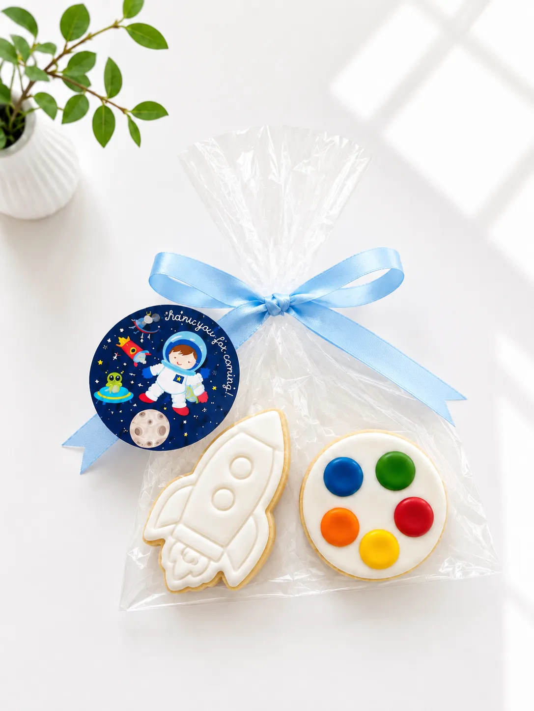 DIY Galaxy Astronaut Cookie Kit | Paint Your Own Cookie | 02
